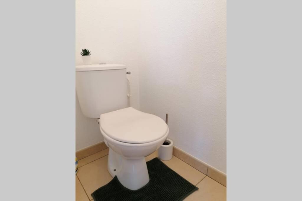 Appartement T2 Entier - Hyper Centre - Cosy Grenade