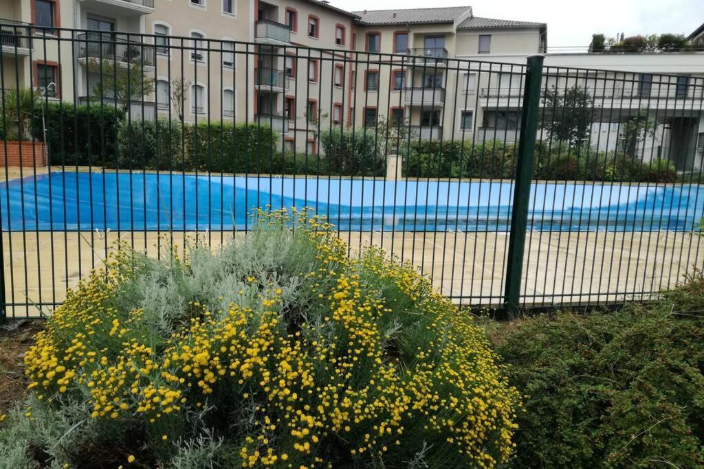 Appartement T2 Entier - Hyper Centre - Cosy Grenade
